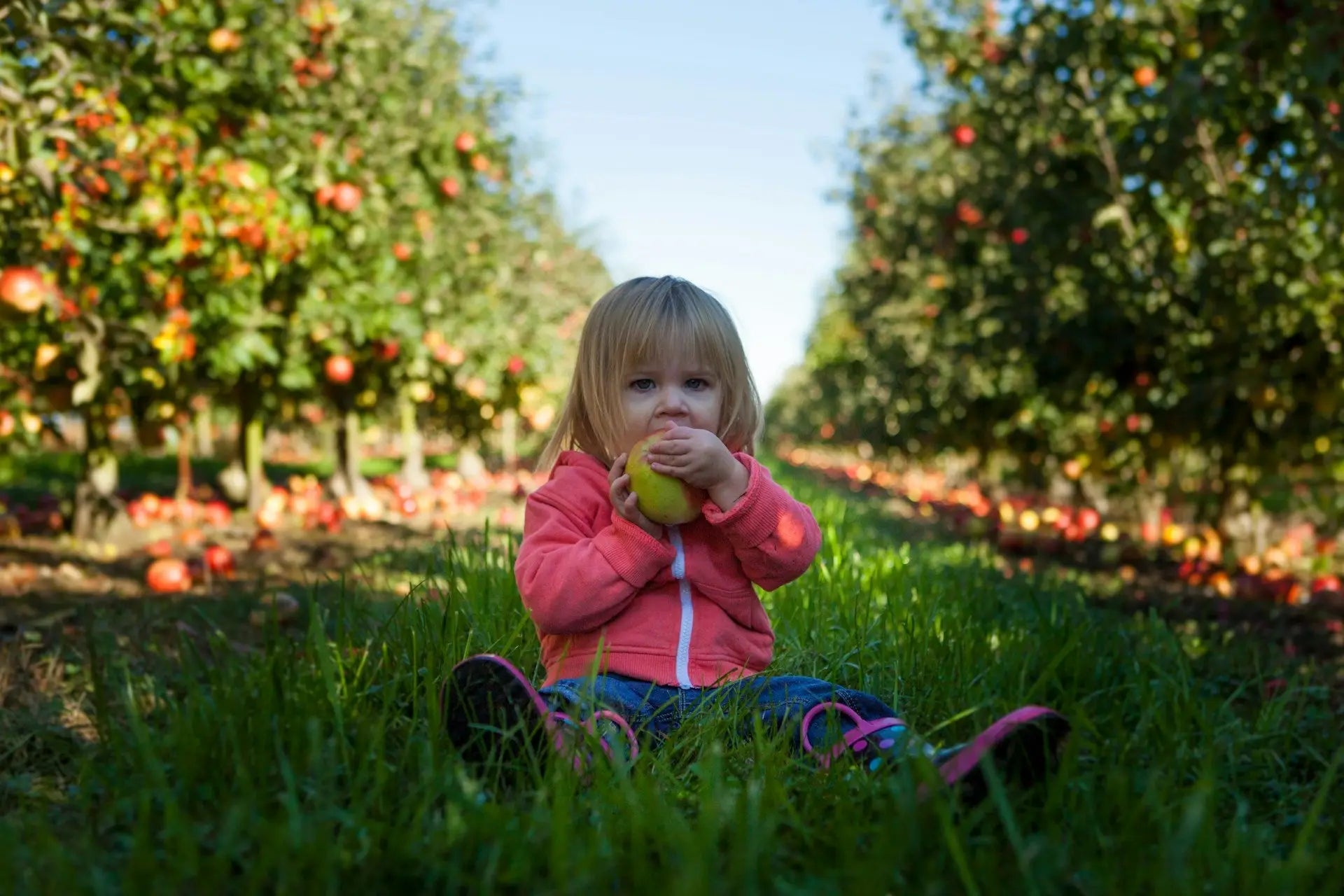 How to Create a Baby Feeding Schedule That Works: Tips and Examples
