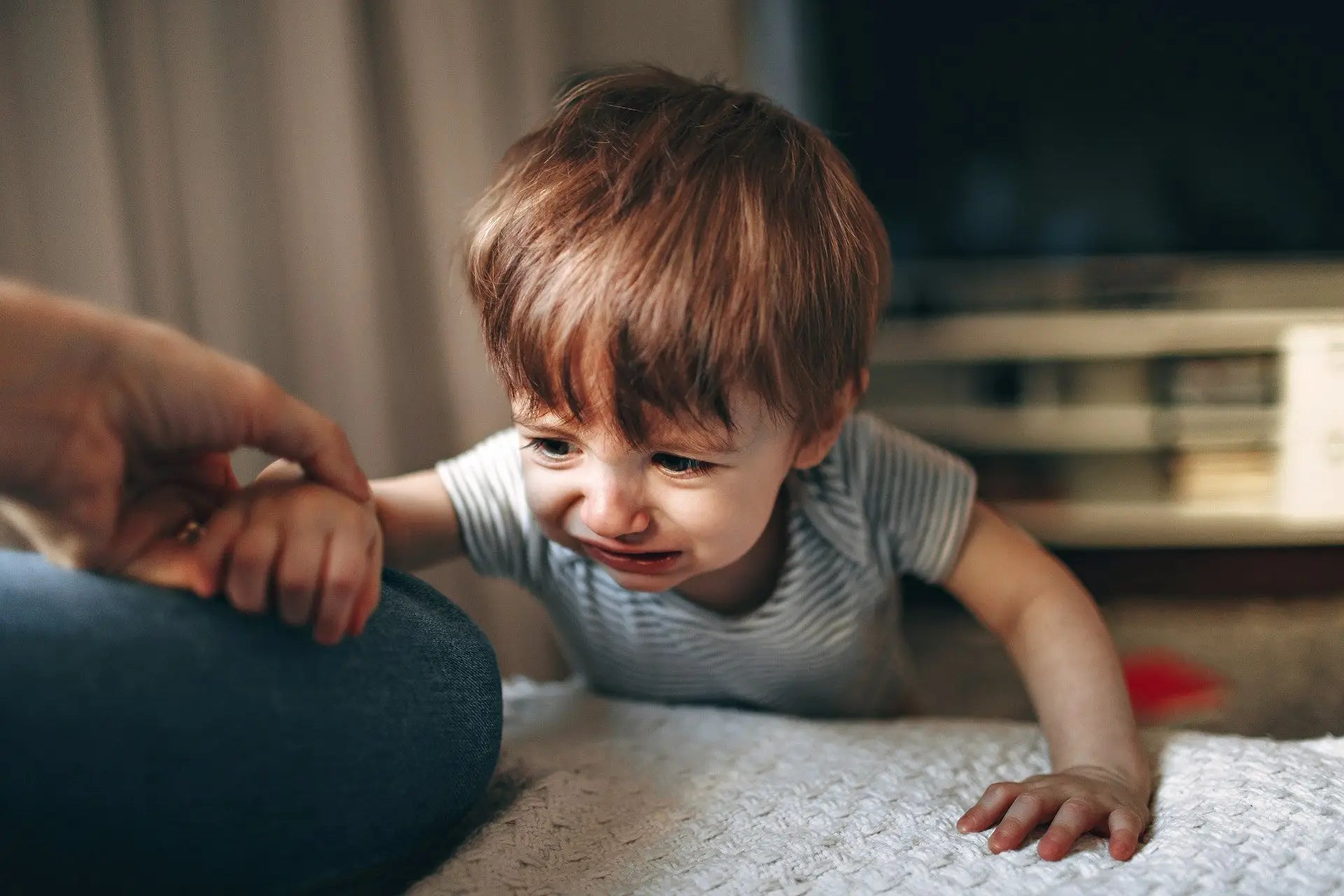 Managing Toddler Tantrums: Proven Techniques Every Parent Should Know