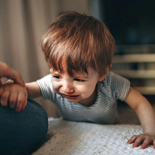 Managing Toddler Tantrums: Proven Techniques Every Parent Should Know